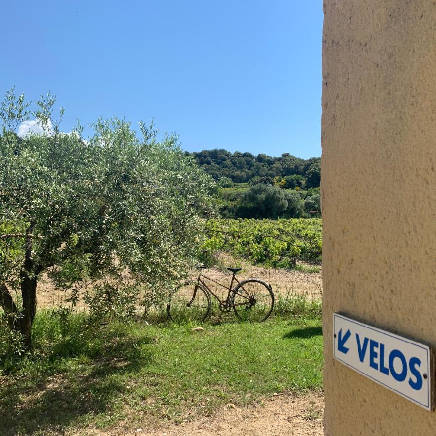 מלון Domaine La Condamine Crillon Le Brave מראה חיצוני תמונה